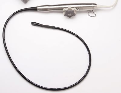 Image of a TEE probe